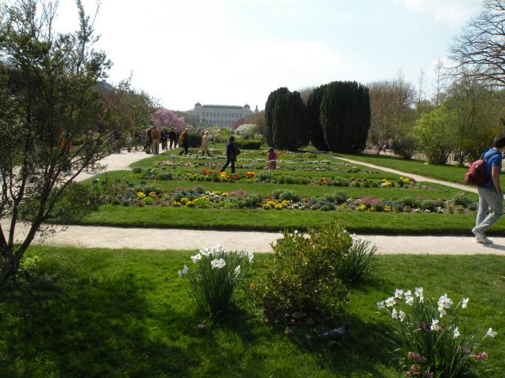  parterre de fleurs, jardin des plantes